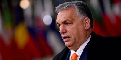 Вице-президент Европарламента призвала лишить Венгрию права голоса в ЕС