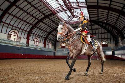 Королева Елизавета получила в подарок на юбилей лошадь от президента Франции Макрона