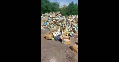 На российском блокпосту в Васильевке водители выкинули тонны продуктов (фото, видео)