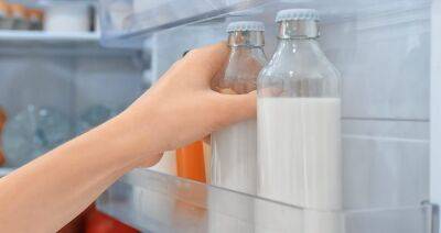 Перспективы мирового рынка молочных продуктов: Maxum Foods прогнозирует ограниченное производство молока