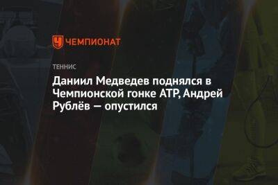 Даниил Медведев поднялся в Чемпионской гонке ATP, Андрей Рублёв — опустился
