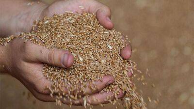 Украина увеличила экспорт зерна на 10% до 47,8 миллиона тонн с начала 2021/2022 года