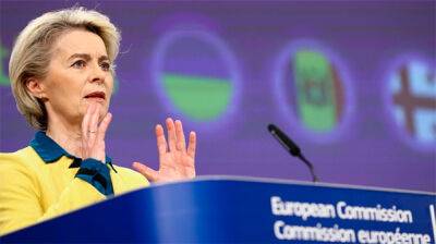 Кандидат авансом: 7 требований, которые должна выполнить Украина, чтобы не потерять статус в ЕС