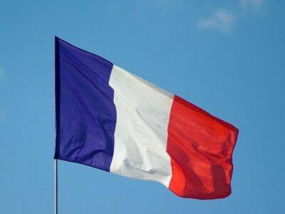 МВД Франции озвучило итоги второго тура парламентских выборов