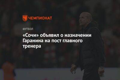 Владимир Федотов - Борис Ротенберг - Вадим Гаранин - «Сочи» объявил о назначении Гаранина на пост главного тренера - championat.com - Москва - Россия - Сочи