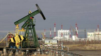 Китай в мае импортировал из России рекордный объем нефти