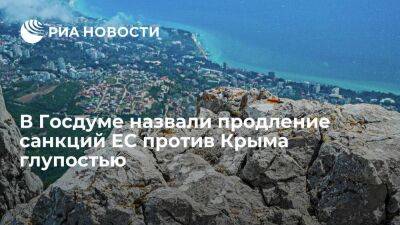 Депутат Госдумы Черняк назвал продление санкций ЕС против Крыма еще на год глупостью
