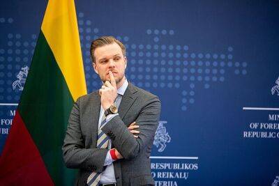 Глава МИД Литвы призывает повышать устойчивость газового рынка влиянию РФ