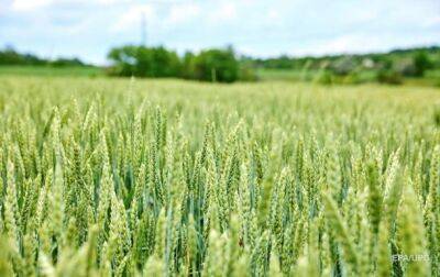 Венгрия вызвалась помочь Украине с экспортом зерна