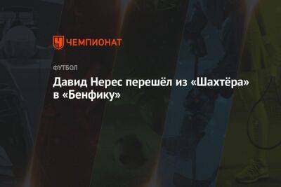 Давид Нерес - Давид Нерес перешёл из «Шахтёра» в «Бенфику» - championat.com - Донецк - Голландия - Португалия - Сан-Паулу