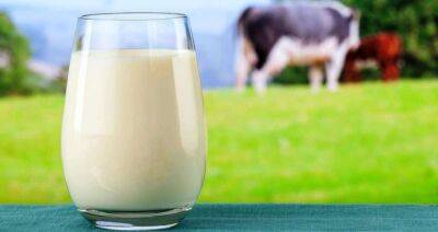 Производство сырого молока в Китае достигнет 36 млн тонн в 2022 году
