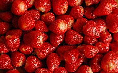 Тверская область: ввозили ягоды из Беларуси, муку из Италии