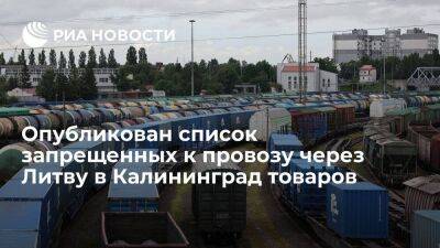 Власти опубликовали перечень товаров, запрещенных для перевозки в Калининград через Литву