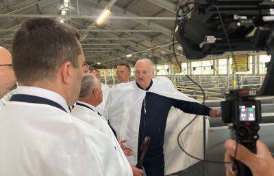Лукашенко министру сельского хозяйства: За падеж скота ответишь головой