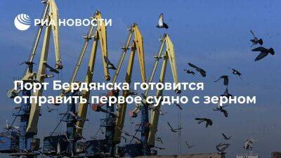 Запорожские власти заявили, что порт Бердянска готовится отправить первое судно с зерном