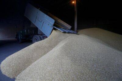 Венгрия готова перевозить зерно из Украины через свою территорию