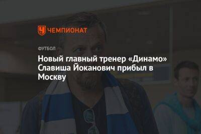 Новый главный тренер «Динамо» Славиша Йоканович прибыл в Москву