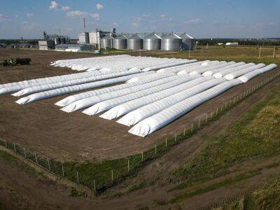 В Украину уже едут мобильные зернохранилища от иностранных партнеров – Минагрополитики - gordonua.com - Россия - США - Украина - Англия - Канада
