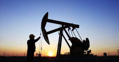 Власти Индии призывают свои компании закупать большие объемы нефти из России, — The WSJ