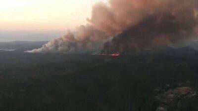 Мощный лесной пожар вспыхнул на популярном турецком курорте (видео)