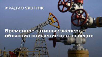 Временное затишье: эксперт объяснил снижение цен на нефть