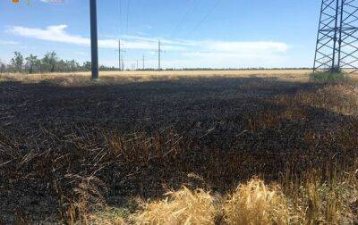 На Николаевщине сгорели 82 га пшеницы, ангар и насосная станция - korrespondent.net - Украина - Николаев - Николаевская обл.