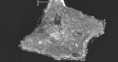 Компания Maxar опубликовала детальные снимки острова Змеиный после ударов ВСУ (фото)