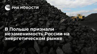 Myśl Polska: только снятие эмбарго на уголь из России спасет Польшу от дефицита