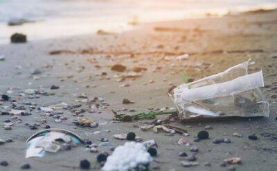 Пляжи Кипра очистят от мусора