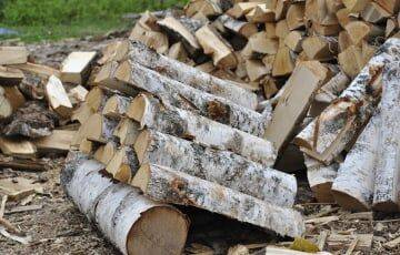 Дефицит дров: белорусам приходится ждать доставки по четыре месяца