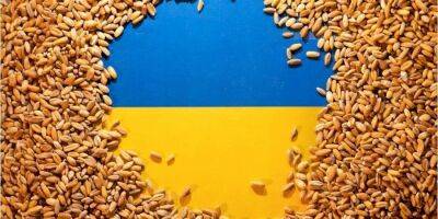 Украина позитивно оценила перспективу четырехсторонних переговоров в Стамбуле по вывозу украинского зерна