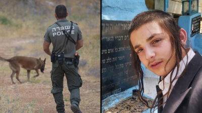 С собаками и вертолетами: на севере Израиля ищут 16-летнего Мойше