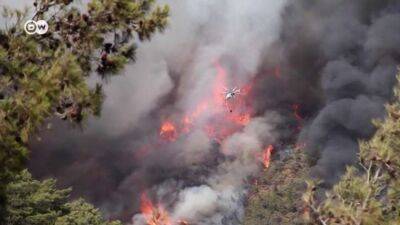 В районе курортного Мармариса ширится лесной пожар (видео)