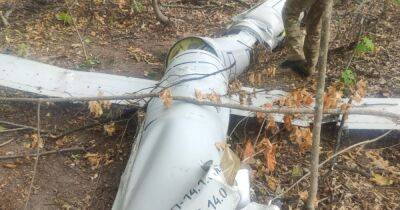В Винницкой области лесники нашли российскую ракету "Калибр", сбитую ПВО (ФОТО)