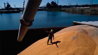 С начала июня Украина экспортировала 1 млн тонн зерна