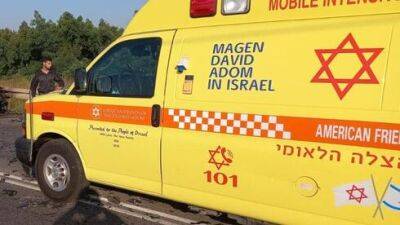 Сезон змей в Израиле: два человека госпитализированы в тяжелом состоянии из-за укуса
