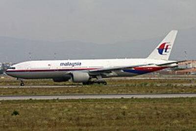 ПАСЕ: версия о том, что рейс MH17 был сбит российской ракетой «Бук» — «наиболее убедительный сценарий»