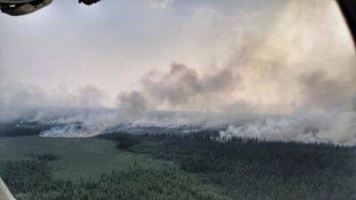 Власти решили не тушить треть лесных пожаров в России