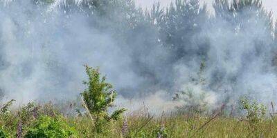Российские вертолеты обстреляли территорию Сумской области