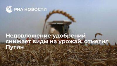 Путин: недовложение удобрений снижает виды на урожай на следующий год, это печально