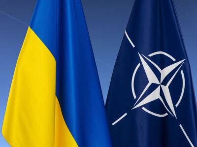 "Члены НАТО отвергли стремления Украины". В Офисе президента заявили, что Киев не будет делать шагов для вступления в Альянс