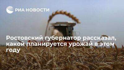 Ростовский губернатор Голубев: состояние озимых позволяет надеяться на достойный урожай