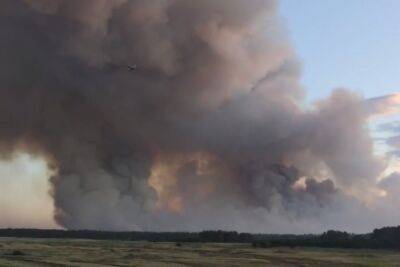 Адский пожар на россии: горят тысячи га леса, а тушить нечем и некому - видео