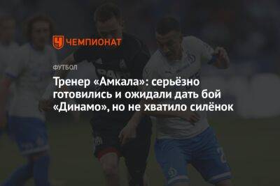 Тренер «Амкала»: серьёзно готовились и ожидали дать бой «Динамо», но не хватило силёнок