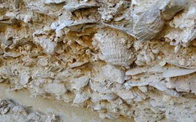 Кипр - Ущелье Каккаристра и его палеонтологические находки - vkcyprus.com - Кипр - Никосия