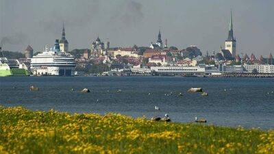 Эстония потеряет €860 млн в случае полного запрета импорта из РФ и Белоруссии