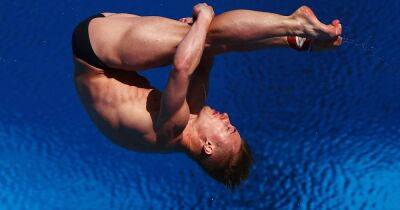 Прыжки в воду: результаты, трансляция | Чемпионат мира по водным видам спорта — 2022
