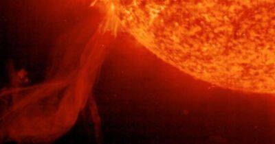 Торнадо размером с Землю. Солнце выпустило поток плазмы длиной 20 тысяч км (фото)