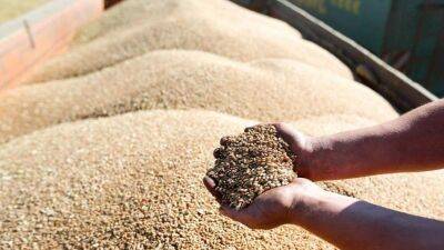 Украина ежемесячно на 50% увеличивает экспорт зерна