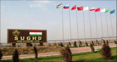 Субъекты СЭЗ Таджикистана произвели продукцию на сумму 164,4 млн. сомони